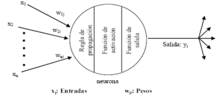 Introducción a las redes neuronales